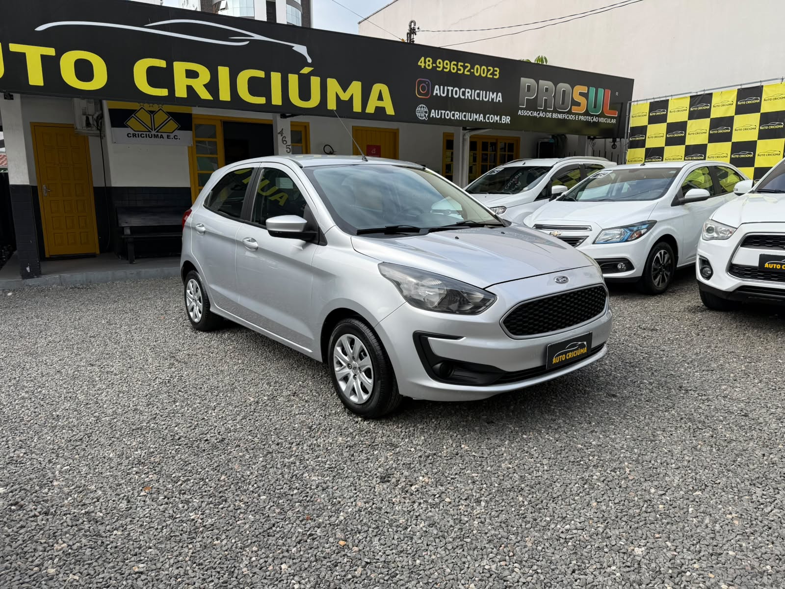 Miniatura 13